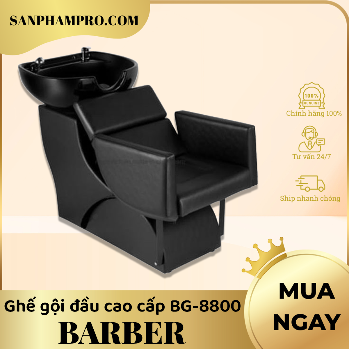 Ghế gội đầu cao cấp BG-8800