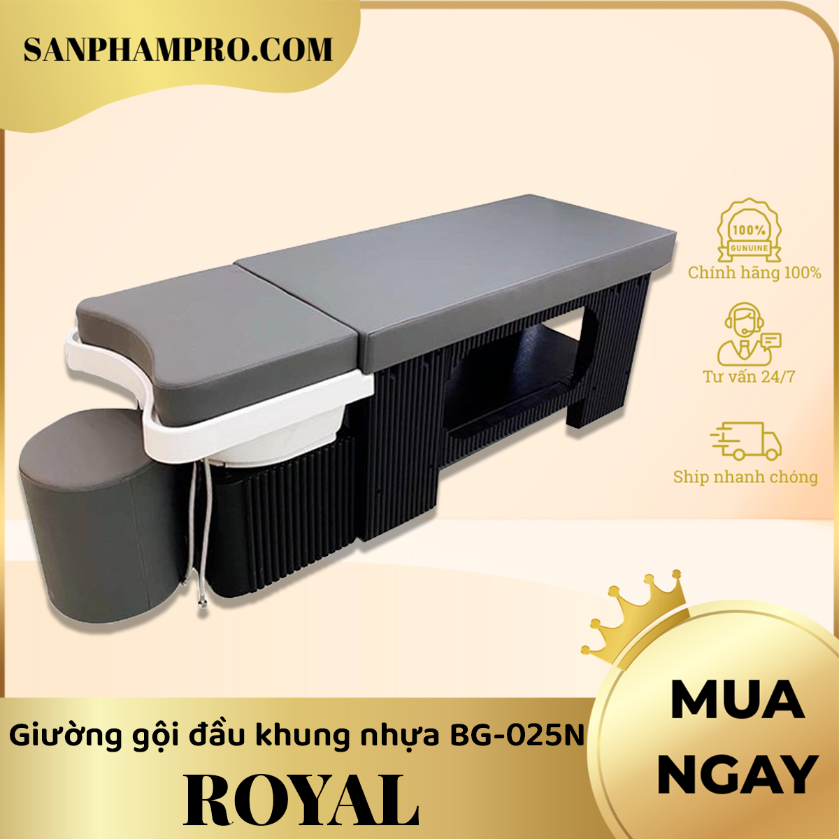 Giường gội đầu khung nhựa Royal BG-025N